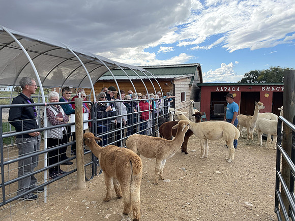 Here are a few of the alpacas we met.  They are very curious and friendly.