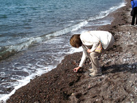Upon arrival at the Bay of Fundy, we were told to search for "Friendship rocks", rocks that had white bands on them.