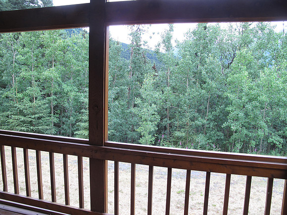 The view looking out the deck.