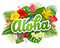 Hawaii - February 2023