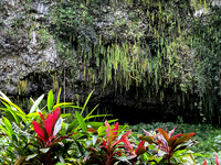 Kauai - Part 2 by ourselves