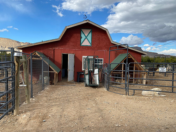 This orchard grows peaches.  It also raises alpacas and has a fiber processing plant as another source of income.
