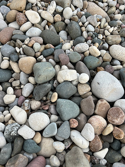 This morning's activities included a forage along the beach looking for rocks.