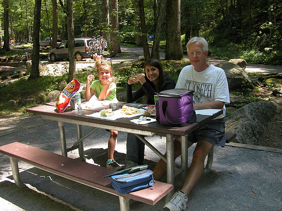 Chimney Tops picnic area
