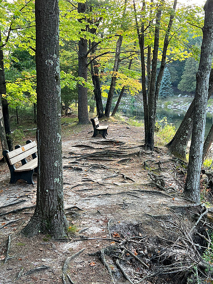 After setting up camp, we went for a long walk to stretch our legs.  They have so many trails here.