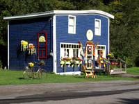 Love the colors and decorations.
