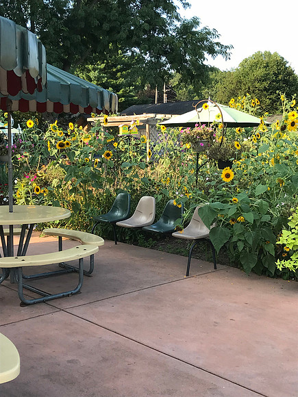 Following golf, the kids took us to Ball's Ice Cream  where we enjoyed fantastic malts & the garden.