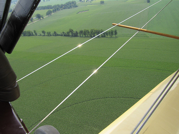 That is beautiful corn growing down there.  You can even see the watering path for the irrigation.