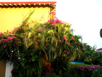 Our Building