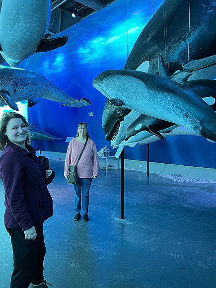 This museum has life-size replicas of 23 whales, based on real-life whales, with their unique characteristics, scars, etc.