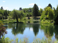August 19th - on the way to Fallasburg Covered Bridge, we saw this pond & bridge on private property.  Picturesque.