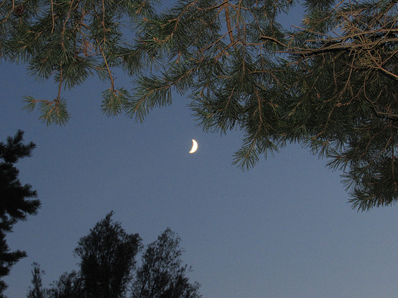 Aug 23rd - A day of rest & reading.  Picture of the night sky.