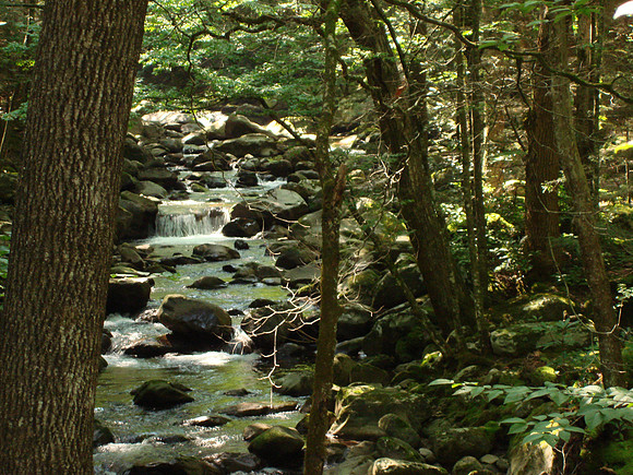Greenbrier entrance. Generally not very crowded. It is out of town & near our campground.