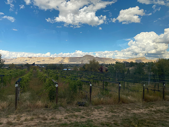 Late in the afternoon, we left town for a drive into the country to visit the Suncrest Orchards.