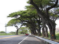 Maui 2004