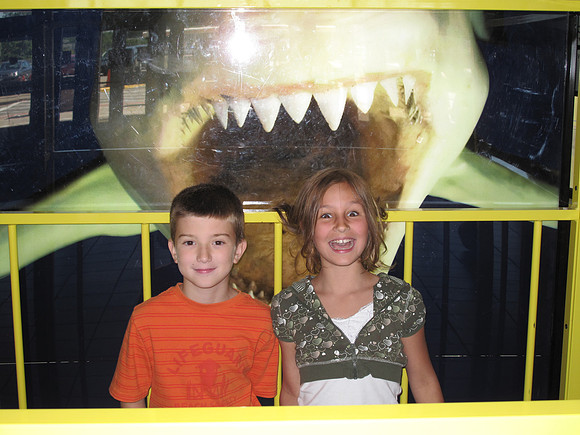 Help, there's a shark after us!