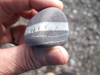 This is one of Terri's great finds.  Denny said this is New Brunswick's version of the Petoskey stone.