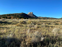 We took the top loop drive, which is 6 miles.  Don't let the mileage fool you.  It takes time to stop and enjoy the scenery.