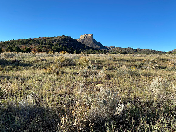 We took the top loop drive, which is 6 miles.  Don't let the mileage fool you.  It takes time to stop and enjoy the scenery.