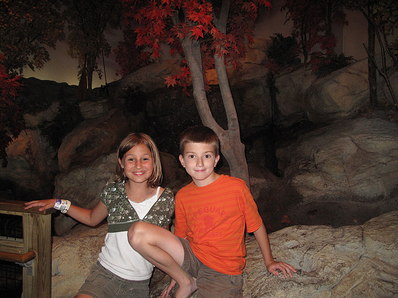 We took a break from the park to walk through the aquarium.